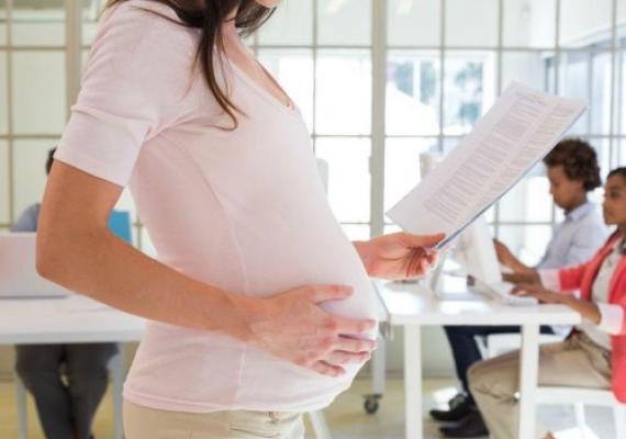 Заявление на отпуск по беременности и родам – образец, порядок оформления документов
