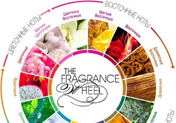 Классификация и различные виды парфюмерной продукции